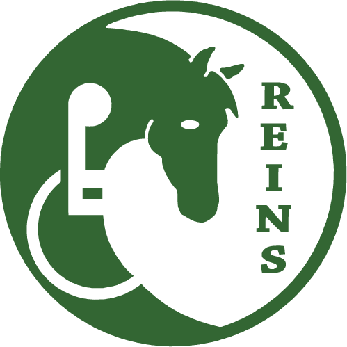 REINS Therapeutic Horsemanship logo