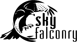 Sky Falconry logo